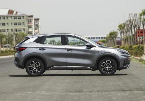 国产五月,绽放的青春与梦想